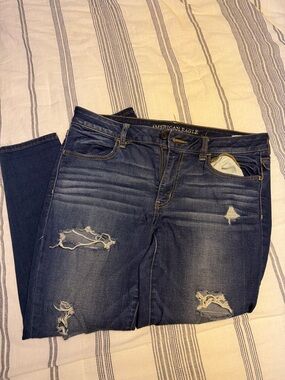 American Eagle Outfitters Indigo Distressed Skinny Jeans